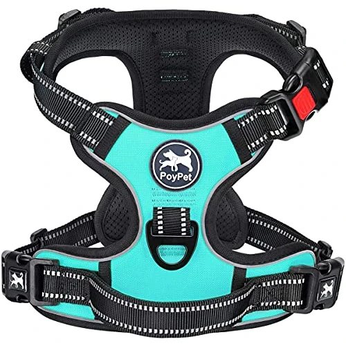 Oferta limitada: PoyPet Arnés para perros sin tirones, chaleco reflectante frontal para mascotas con control fácil, mango y parte trasera perfecta para el entrenamiento diario, paseos, carrera (Azul Menta, L) de 24.99 € a 22.55 € (ahorro 10%)