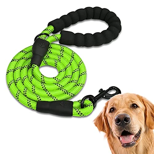 Offre limitée : EDIPETS, Laisse Chien, Laisse de Dressage pour Chien, Rembourrée, Poignée Souple, Corde pour Chiots et Petits, Moyens et Grands Chiens, 1,2 et 1,5 mètres. (1.5 M, Vert) de 15.82 € à 7.99 € (49.49% de remise)