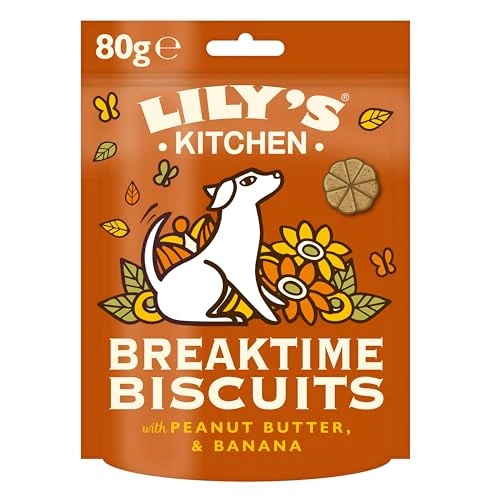 Offerta a tempo: Lily’s Kitchen Snack per cani adulti con ingredienti naturali Biscotti della nanna 8 x 80 g - 15% da 36.03 € a 30.63 €