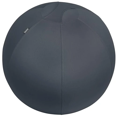 Offre limitée : Leitz, Ballon d'Assise Ergo, 65 cm, Gym Ball, Ameliore la Posture, Gris de 49.99 € à 47.48 € (5% de remise)