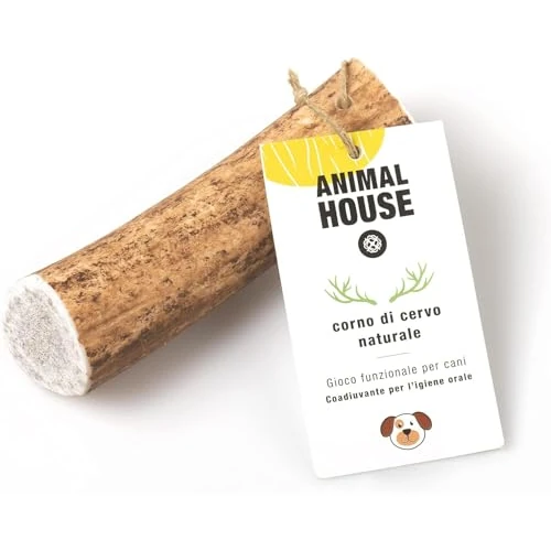 Animal House - Bois de cerf Entier pour Chiens - À mâcher 100% Naturel - Renforce l'hygiène bucco-Dentaire - Résistant et Durable - Disponible dans Toutes Les Tailles (M)
