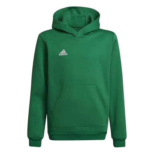 Offerta a tempo: adidas Unisex - Bambini Entrada 22 Sweat Hoodie, team green/white, 5-6 Years - 38% da 40.00 € a 24.90 €