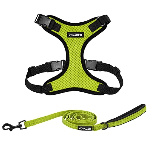 Offerta a tempo: Voyager - Pettorina per cani Step-in Lock con guinzaglio riflettente per cani con manico in neoprene da 1,5 m, supporta cuccioli/gatti di razza piccola, media e grande di Best Pet Supplies - Verde - 0.00% da 15.41 € a 15.41 €