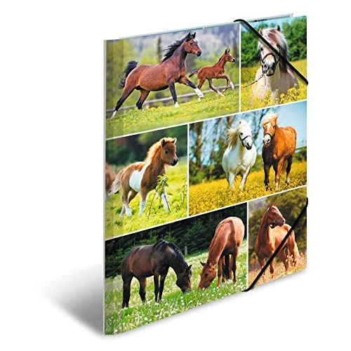 Offerta a tempo: HERMA Cartellina portadocumenti per bambini, ragazzi e ragazze, formato DIN A4, con stampa interna completa e fascia elastica, 19342 - 0.00% da 7.97 € a 7.97 €