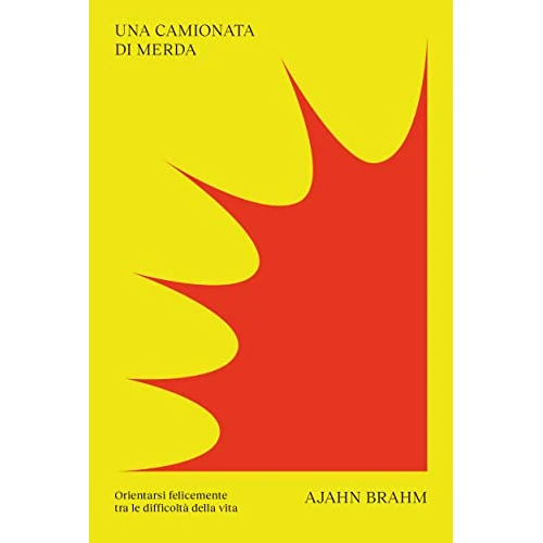 Una camionata di merda: e altre storie di quotidiana felicità
