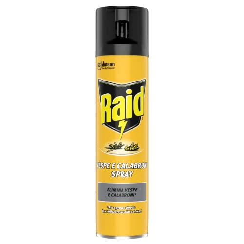 Offerta a tempo: Raid Insetticida Spray Elimina Vespe e Calabroni, per Uso Interno, Azione Rapida per Spruzzo Diretto, 1 Confezione da 400ml - 25% da 5.29 € a 3.99 €