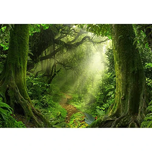 Limited offer: Aoihrraan 3,5x2,5m Spring Enchanted Forest Backdrop Jungle Rainforest Old Trees Sunshine Natural Scenery Photography Background Baby Shower Birthday Party Decor Kid Adult Portrait Photo Studio Props from 49.99 EUR to 49.99 EUR (save 0%)