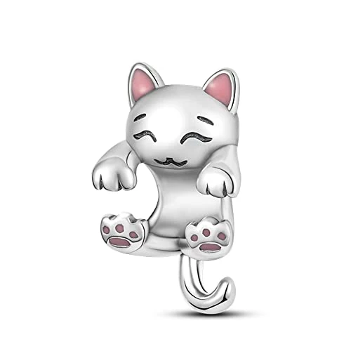 Offre limitée : Pandach Charme Perles en argent sterling 925 pour bracelet et collier Pandora Compatible avec bracelets européens pour femmes et filles de 15.99 € à 6.99 € (56% de remise)