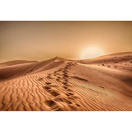 Limited offer: Aoihrraan 3x2,5m Desert Landscape Backdrop Sand Dunes Arid Barren Green Shrub Plant Climate Hot Sunset Natural Scenery Photography Background Travel Holiday Vacation Adult Portrait Photo Studio Prop from 38.99 EUR to 38.99 EUR (save 0%)