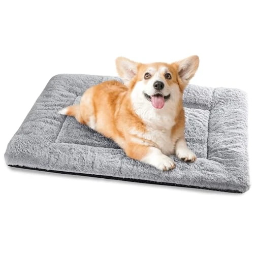 Limitiertes Angebot: Baodan Hundebett Kleine Hunde Waschbar, 75x50 cm Hundekissen Flauschig mit rutschfeste Unterseite, Hundebetten für Kleine Mittelgroße Hunde, Grau von 19.99 EUR auf 16.99 EUR (Spare 15%)