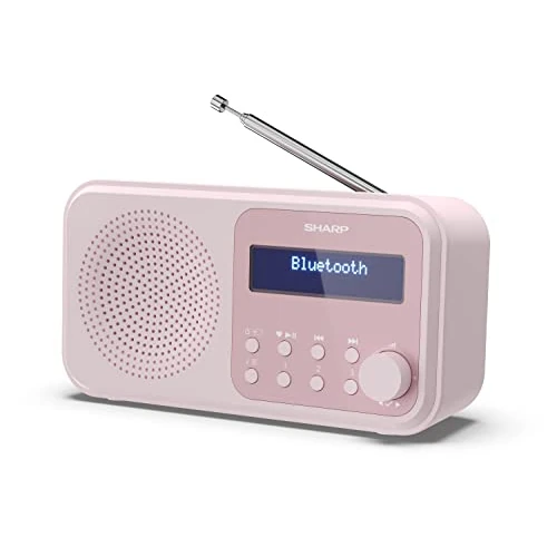 Offerta a tempo: SHARP DR-P420(PK) Radio portatile DAB/FM doppia sveglia - Rosa fiore - 22% da 49.90 € a 39.06 €