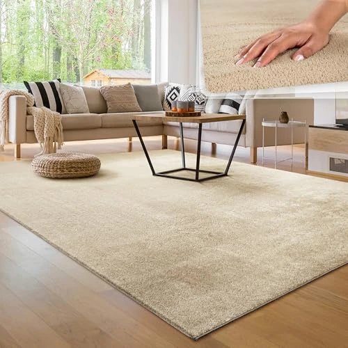 Offre limitée : Paco Home Tapis Salon Moelleux Ultra Doux à Poils Courts - Antidérapant, Lavable, Confort Idéal pour Salon et Chambre, Dimension:160x220 cm, Couleur:Beige 2 de 43.99 € à 39.59 € (10% de remise)