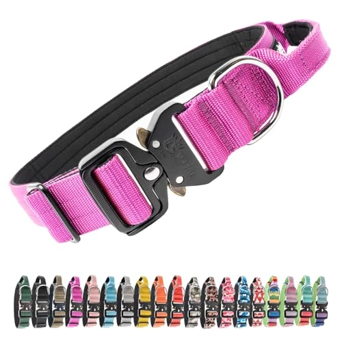 Limited-time offer: TSPRO Premium Dog Collar with Handle and Heavy Duty Quick Release Metal Buckle, Durable, Adjustable and Thick Dog Collars for Medium to Large Dogs (Purple L) from 23.99 GBP to 23.99 GBP (save 0%)