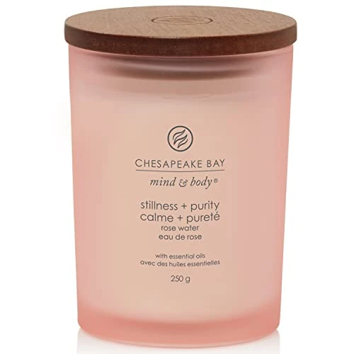 Oferta limitada: Chesapeake Bay Vela perfumada | Stillness + Pureza vaso mediano | Tiempo de combustión: hasta 57 horas | Colección Mind & Body de 17.90 EUR a 17.90 EUR (ahorro 0%)
