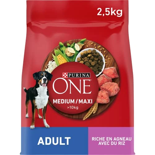 PURINA ONE | Perro Adulto de tamaño Mediano y Grande > 10 kg | Croquetas ricas en proteínas | Ayuda a Mantener músculos Fuertes y un Nivel Suficiente de energía | Cordero | Bolsa | Lote de 4 x 2,5 kg