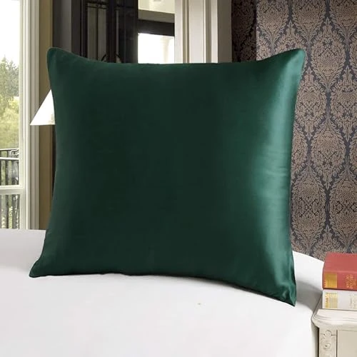 Offerta a tempo: townssilk Federa seta cuscino,100% naturale seta di gelso 19momme,doppia faccia,benefica per capelli e pelle,ipoallergenica,cerniera nascosta,1 pz,40x40cm,Smeraldo - 14% da 18.99 € a 16.28 €