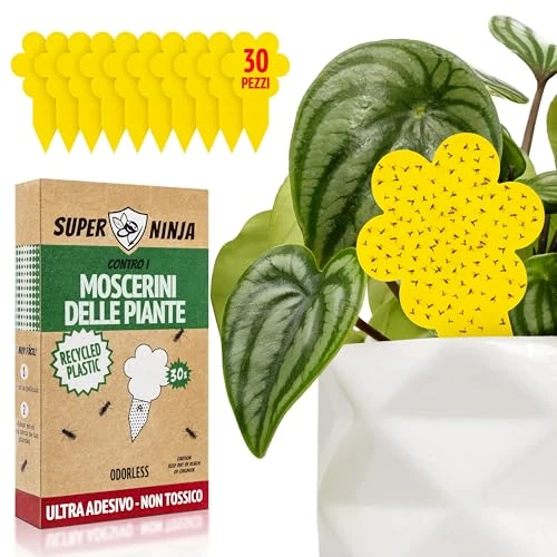Offre limitee: Super Ninja Anti Moucherons Intérieur Plantes, 30 Pièges Jaunes Collants Non Toxiques, Anti Moucheron Terreau et Mouche de Terreau, Piège Moucherons Ultra Efficace Jusqu’à 3 Mois de 8.94 EUR a 8.94 EUR (economie 0%)