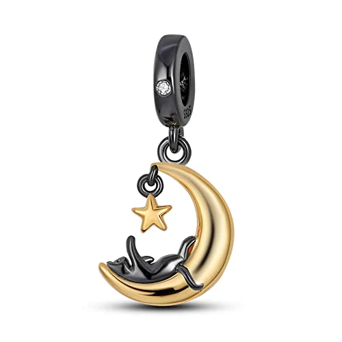 Offerta a tempo: TINSLO Ciondolo Argento Sterling 925 con Cubic Zirconia Pendenti per Pandora Braccialetti, Compatibile con Braccialetti e Collane europei, perfetto Regali per Moglie e Ragazze - 24% da 17.99 € a 13.67 €