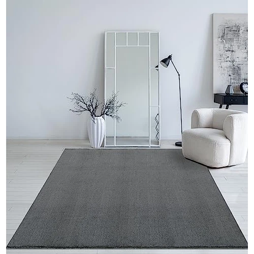 Offerta a tempo: Mia's Teppiche Taos - Tappeto a pelo corto, con fondo antiscivolo, lavabile fino a 30°, super morbido, effetto pelliccia, 60 x 110 cm, colore: antracite - 19% da 29.99 € a 24.36 €