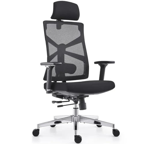 HOLLUDLE Silla de Oficina Ergonómica con Respaldo Adaptativo, Silla de Escritorio de Alto Respaldo con Reposabrazos 4D, Profundidad de Asiento Ajustable, Soporte Lumbar y Reposacabezas 2D, Negro