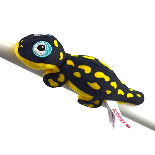 Limited-time offer: Nici 48773 Bear MagNICI Salamander Don Fuego 12cm Green, Yellow, 12 cm from 3.36 £ to 2.79 £ (save 17%)