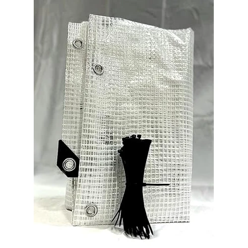 PINTO FERRAMENTA E-COMMERCE Telone Occhiellato Telo Multiuso per Esterno Impermeabile Rinforzato Trasparente Coperture Copri Legna Antipioggia Antistrappo Campeggio 100 FASCETTE OMAGGIO (5x6mt)