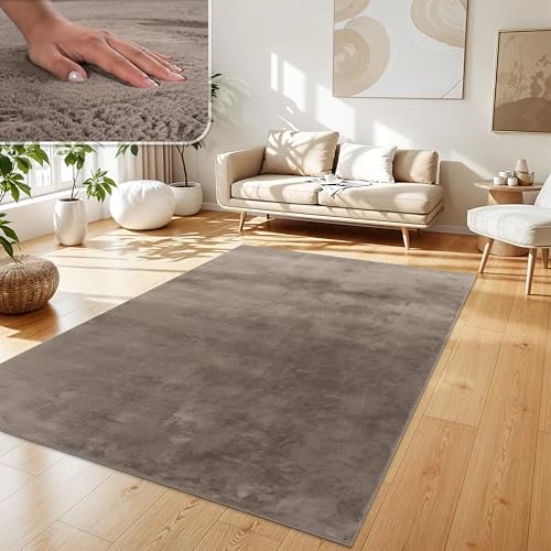 Offre limitee: Paco Home Tapis Salon Fausses Fourrures Doux Lavable Moderne Élégant Facile À Entretenir Effet Fourrure Uni Brillant Douillet À Poils Courts, Dimension:140x200 cm, Couleur:Taupe de 47.99 EUR a 32.98 EUR (economie 31%)