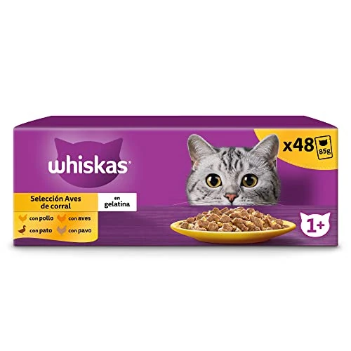 Whiskas Nassfutter für Katzen, Erwachsene, Vogelauswahl, Gelee, Multipack (4 x 12 Beutel x 85 g)