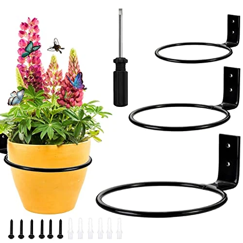 Limited-time offer: Suitedget 3 Pcs Ring Wall Plant Holder Flower Pot Holder Rings Inside Diameter 11cm/15cm/20cm Black Round Wall Planters for Outdoor Plants Holders for Home, Garden, Balcony from 20.90 GBP to 20.90 GBP (save 0%)