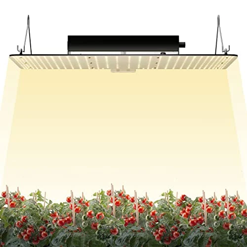 Oferta limitowana: VEVOR LED Grow Light, 200W pełne spektrum ściemnialne, wysokiej wydajności lampa do uprawy diod Samsung 2B1B dla roślin wewnętrznych sadzenia warzyw i kwiatów szklarni z 512.00 zł na 512.00 zł (oszczędź 0.00%)