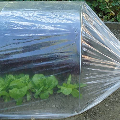 Offerta a tempo: TENAX Dot Film 2,00x10 m Trasparente, Film microforato forzante per coperture tunnel orto e per protezione colture - 36% da 10.42 € a 6.70 €