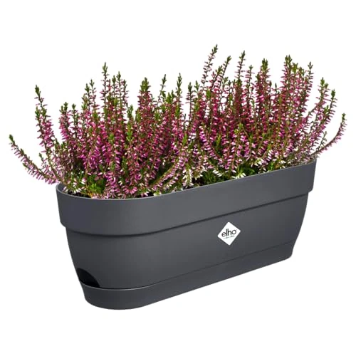 Begrenztes Angebot: elho Vibia Campana Balkonkasten 50 mit Wasserreservoir - Blumentopf Balkon - 100% recyceltes Plastik - Ø 49.0 x H 17.0 cm - Schwarz/Anthrazit von 19.95 EUR auf 19.95 EUR (Rabatt 0%)