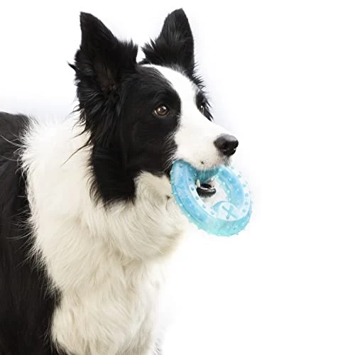 InnovaGoods - Giocattolo Congelabile 2 in 1 per Cani, Rinfrescante, Cura Dentale, Riempibile con Premi, Blu, TPE