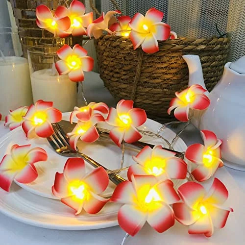 Offerta a tempo: Riaxuebiy Plumeria Artificiale Luci Stringa Frangipani Ghirlanda Artificiali Fiori LED Fata Catene Luminose a Batteria per Spiaggia Festa Compleanno Proposta Matrimonio Arredamento (3m/20led, Rosso) - 0% da 14.39 € a 14.39 €