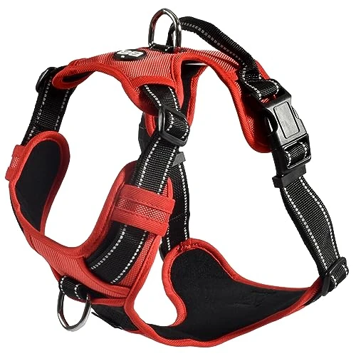 Offerta a tempo: Bobby Rando Walk - Pettorina per cani Taglia M, in Nylon Riflettente, Fibbie Regolabili a Chiusura Sicura, Facile da Indossare, Rosso Girocollo 40-63 cm, Giropetto 51-66 cm - 0.00% da 23.45 € a 23.45 €