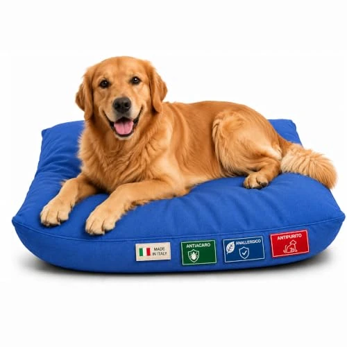 Offerta a tempo: Dorian Home - Cuccia Cane Interno Taglia Grande, Media e Piccola - Cuscino Cane e Gatto Lavabile senza Sfoderare, Extra Imbottito e Morbido - Cuscino per Cani e Gatti Antimacchia Resistente ai Graffi - 0.00% da 21.99 € a 21.99 €