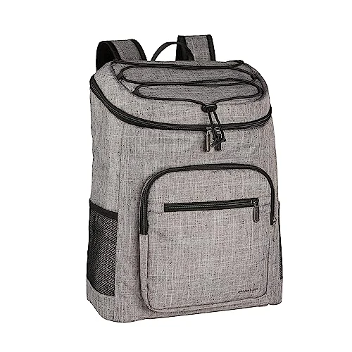 Amazon Basics Reusable Insulated Soft Cooler Backpack, 30 Can Capacity, Gray