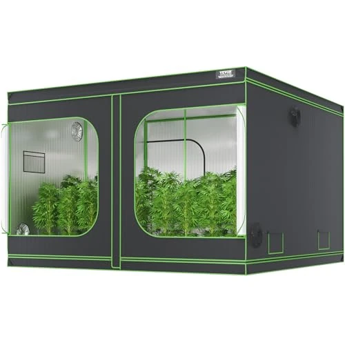 Offerta a tempo: VEVOR Tenda da Coltivazione Idroponica in Oxford 600D Alta Riflettente con Finestra di Osservazione 305x305x203cm, Borsa degli Attrezzi e Vassoio da Pavimento per la Coltivazione di Piante da Interno - 33% da 584.90 € a 393.11 €