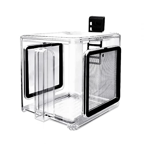 MiOYOOW Pudełko do hodowli ryb, przezroczyste, akrylowe, izolowane, zdejmowane, akwarium, basen do hodowli niemowląt, krewetek, klaunów, gupików, małych rozmiarów