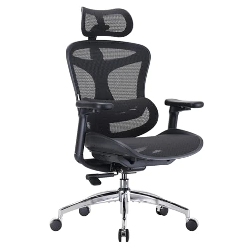 Offerta a tempo: SIHOO Doro C300 Sedia Ufficio Ergonómica, Supporto Lombare Dinamico, Nero - 0.00% da 389.99 € a 389.99 €