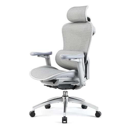 Begrenztes Angebot: SIHOO Doro C300 Ergonomischer Bürostuhl mit ultraweichen 3D-Armlehnen, dynamischer Lordosenstütze für den Homeoffice-Stuhl, Verstellbarer Rückenlehne von 371.78 EUR auf 289.99 EUR (Rabatt 22%)