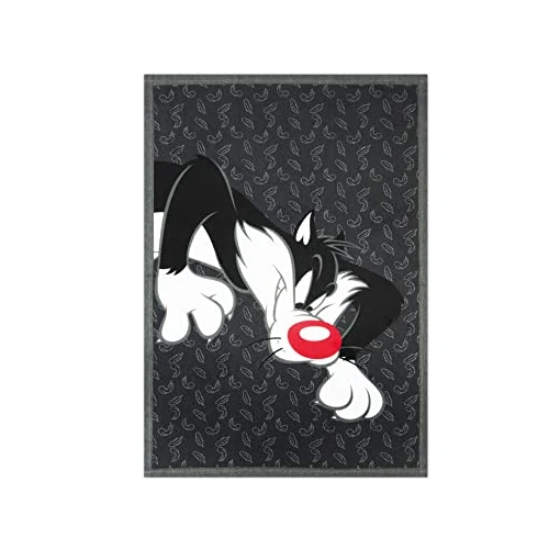 Oferta limitada: Excelsa Sylvester - Paño de Cocina 100% algodón 70x50, con Ojal de 17.00 EUR a 17.00 EUR (ahorro 0%)