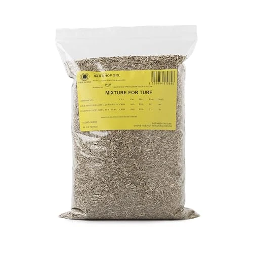 R&R SHOP – Grass Seeds for Resistant Lawn, Ryegrass, Rapid Growth and walkable, Suitable for All Types of Terrain (500gr - 20mq)