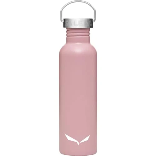 Offre limitée : Salewa Aurino Stainless Bottle de 29.00 EUR à 21.12 EUR (remise 27%)