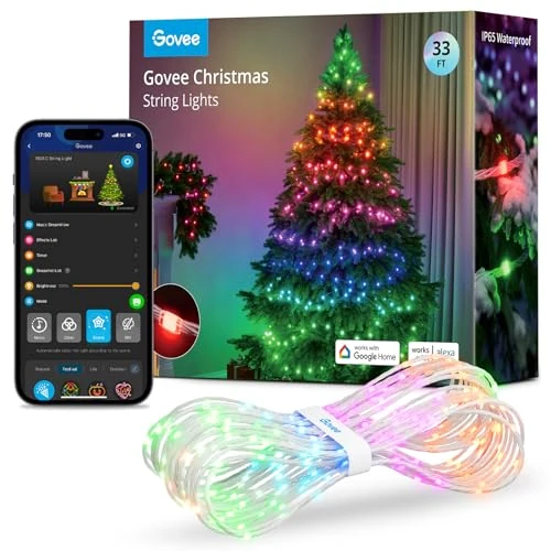 Govee Kerstverlichting, RGBIC kerstverlichting voor buiten, 10 m, lichtketting voor binnen, kerstdecoratie, led-lichtketting voor buiten, 100 ledlampen, 99+ scènes, IP65 waterdicht