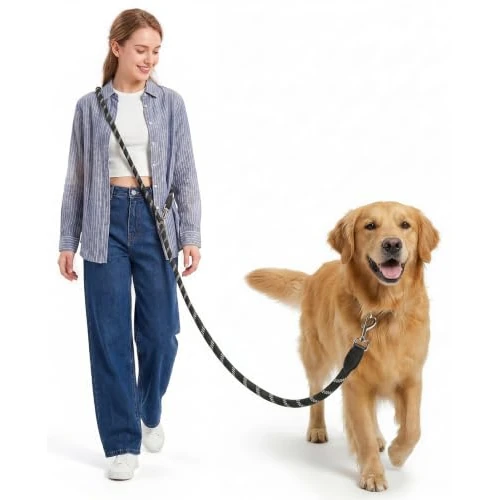 Offerta a tempo: Oneisall Guinzaglio per Cani di Taglia Grande e Media (15-60kg), a Mano Libera da 3m e Doppio Con Catarifrangente, Resistenza Fino a 200kg - 6% da 16.99 € a 15.99 €