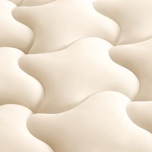 Oferta limitada: SLEEP ZONE Cubrecolchón de Lujo, cubrecolchón de Cama Doble para Dormitorio, habitación de Invitados, Funda de colchón Transpirable y refrescante con Bolsillo Profundo, cómodo y Suave (Beige, Queen) de 42.82 € a 42.82 € (ahorro 0.00%)