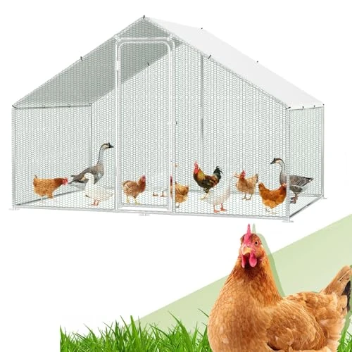 Offre limitee: Randaco - Poulailler XL avec serrure - En acier galvanisé - Pour petits animaux - Installation à l'air libre - Poulailler avec toit - 3 x 2 x 2 m - Avec serrure et toile de couleur PE imperméable de 153.99 EUR a 153.99 EUR (economie 0%)