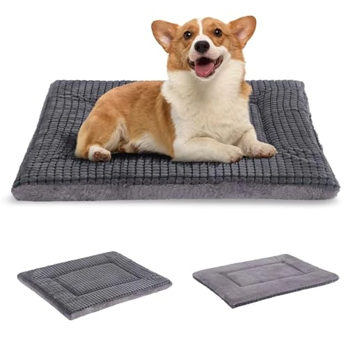 Limited offer: BVAGSS Reversible Dog Crate Pad, Memory Foam Pet Bed Mat, Soft Warm Machine Washable Sleeping Kennel Mattress for Small Medium Dogs XH079 (30''x20''x1.6'',Light Grey) from 20.99 EUR to 18.89 EUR (save 10%)