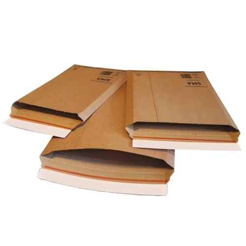 Oferta limitada: Equipamiento Escolar marca BLASETTI modelo CF25 BUSTE E-COMMERCE PACK S A5 de 16.27 € a 16.27 € (ahorro 0.00%)
